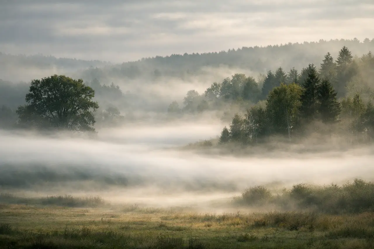 How Much Does Fog Weigh?
